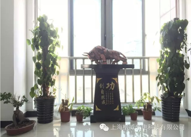 1659325713963908.jpg 3.jpg